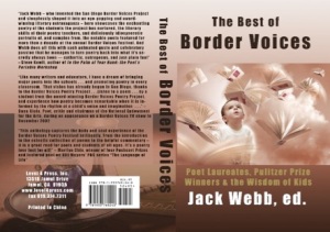 Best of Border Voices